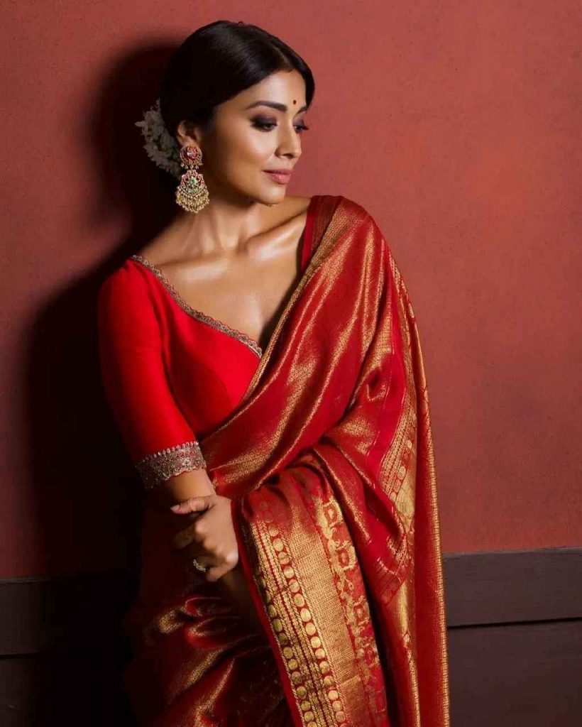 Red Banarasi Saree Blouse Designs